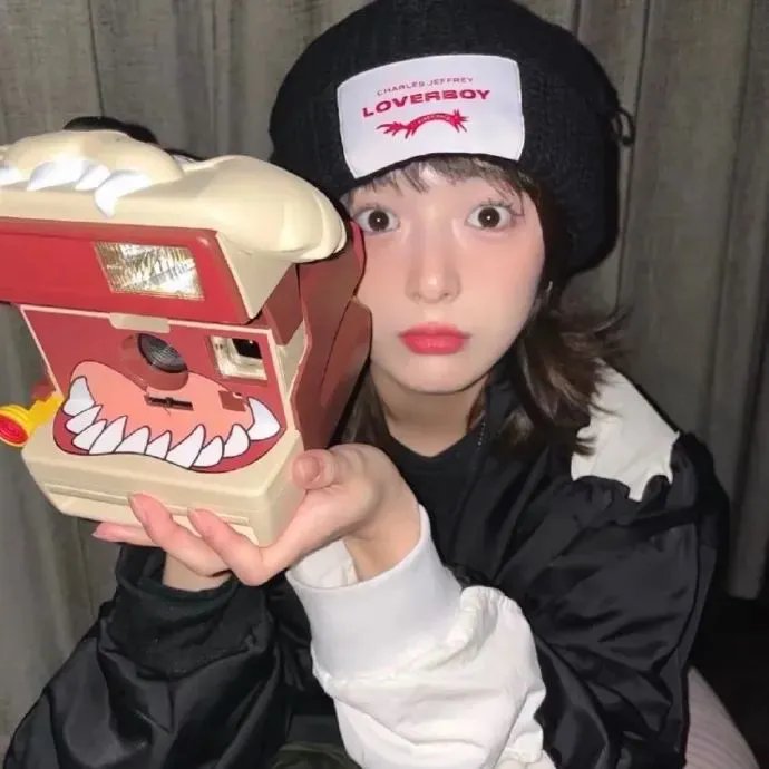 与鲨共游